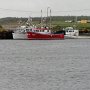 <p align=left>Quelques bateaux de pêche à Rivière-au-Tonnerre